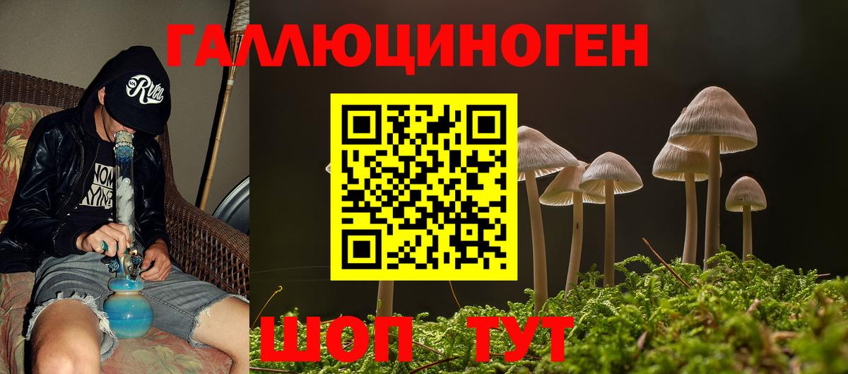 Псилоцибиновые грибы ЛСД Азнакаево